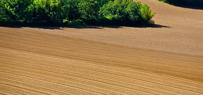 Vivid Life Sciences Prizefighter is the Right Choice