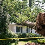 Emergency tree service in Smithville provides peace of mind
