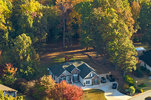 Professional Tree Service in Smithville